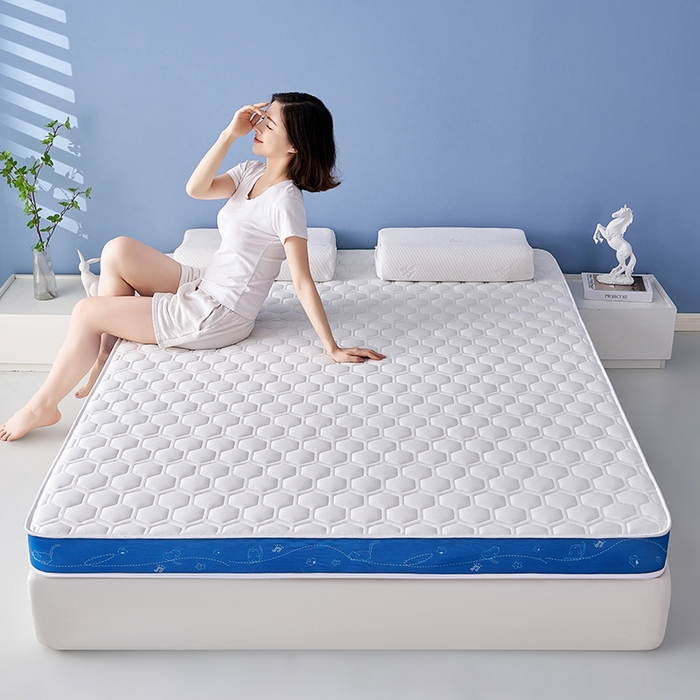 91家纺网 家纺一手货源 找家纺 （总）合纵跨境工厂 2025新款17/25D记忆海绵床垫跨境外贸JIT一件代发TEMU亚马逊希音包过核价立体球形小猫