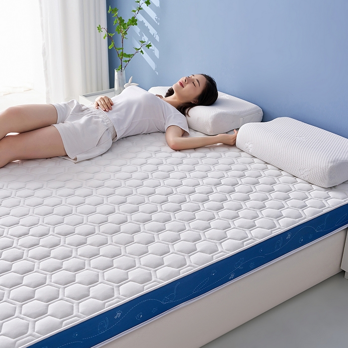 91家纺网 家纺一手货源 找家纺 （总）合纵跨境工厂 2025新款17/25D记忆海绵床垫跨境外贸JIT一件代发TEMU亚马逊希音包过核价立体球形小猫