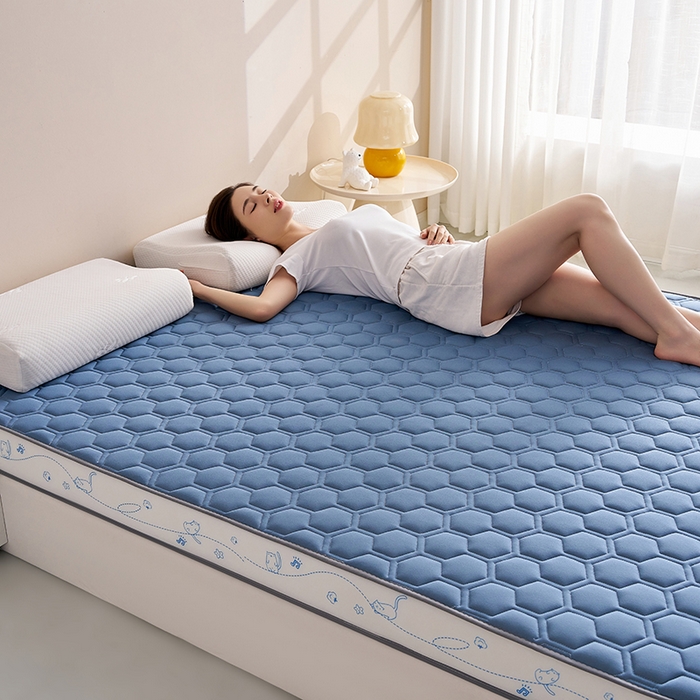 91家纺网 家纺一手货源 找家纺 合纵跨境工厂 2025新款17/25D记忆海绵床垫跨境外贸JIT一件代发TEMU亚马逊希音包过核价立体球形小猫 立体球形小猫-蓝 5cm