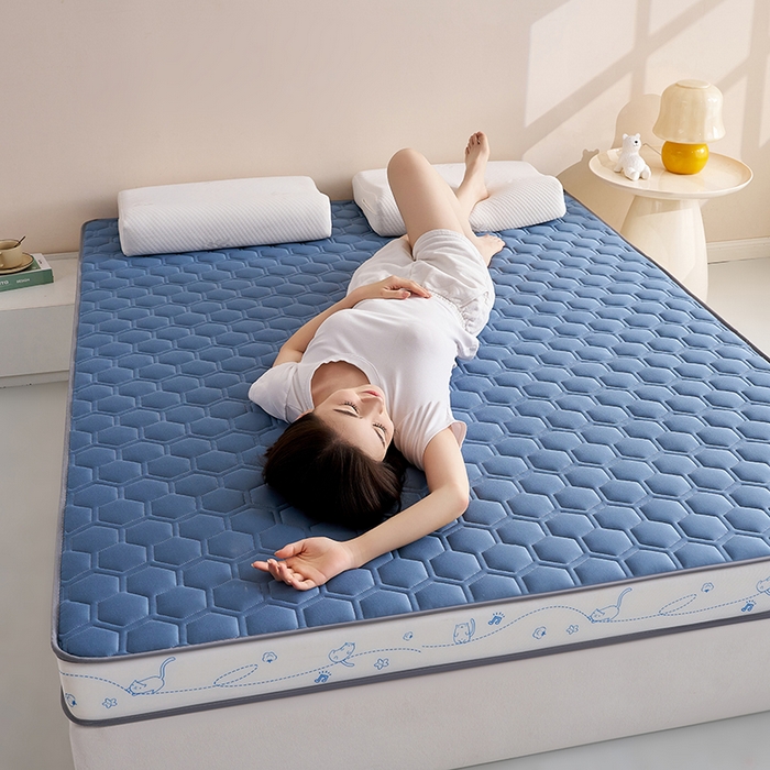 91家纺网 家纺一手货源 找家纺 合纵跨境工厂 2025新款17/25D记忆海绵床垫跨境外贸JIT一件代发TEMU亚马逊希音包过核价立体球形小猫 立体球形小猫-蓝 5cm