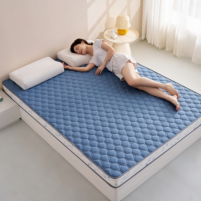 91家纺网 家纺一手货源 找家纺 合纵跨境工厂 2025新款17/25D记忆海绵床垫跨境外贸JIT一件代发TEMU亚马逊希音包过核价立体球形小猫 立体球形小猫-蓝 5cm