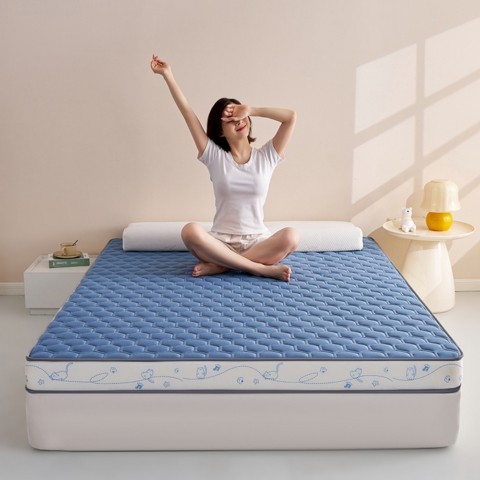 91家纺网 家纺一手货源 找家纺 合纵跨境工厂 2025新款17/25D记忆海绵床垫跨境外贸JIT一件代发TEMU亚马逊希音包过核价立体球形小猫 立体球形小猫-蓝 5cm