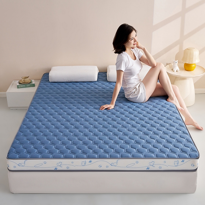 91家纺网 家纺一手货源 找家纺 合纵跨境工厂 2025新款17/25D记忆海绵床垫跨境外贸JIT一件代发TEMU亚马逊希音包过核价立体球形小猫 立体球形小猫-蓝 5cm