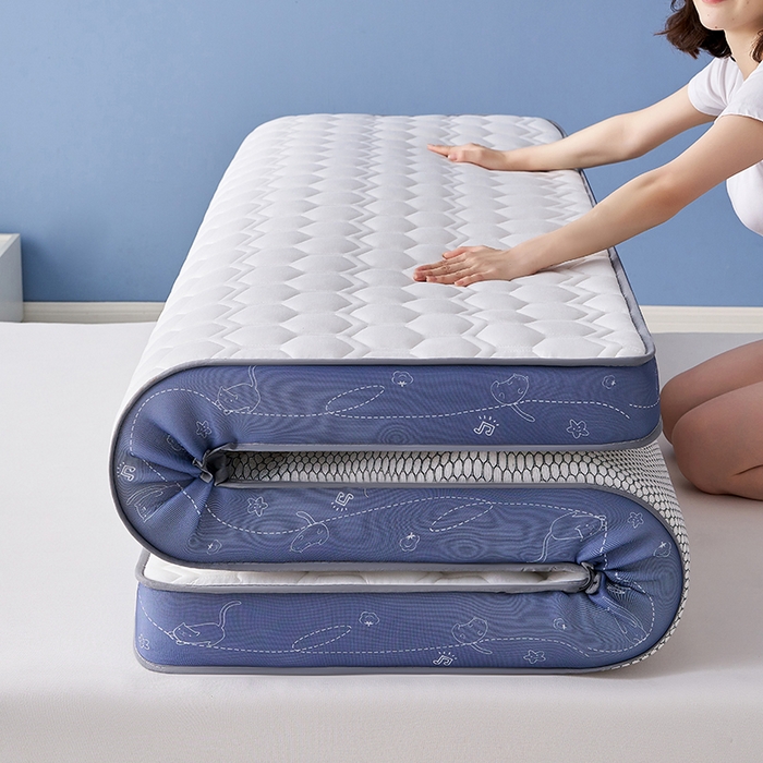 合纵跨境工厂 2025新款17/25D记忆海绵床垫跨境外贸JIT一件代发TEMU亚马逊希音包过核价立体球形小猫 立体球形小猫-灰蓝边白 5cm