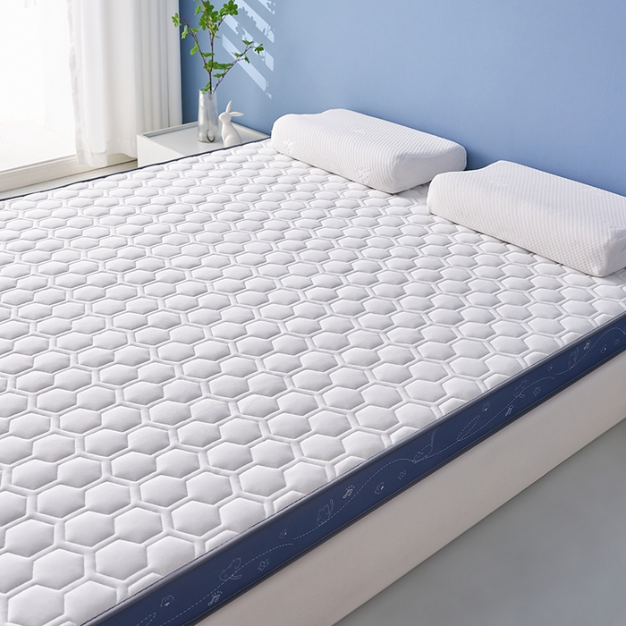 91家纺网 家纺一手货源 找家纺 合纵跨境工厂 2025新款17/25D记忆海绵床垫跨境外贸JIT一件代发TEMU亚马逊希音包过核价立体球形小猫 立体球形小猫-灰蓝边白 5cm