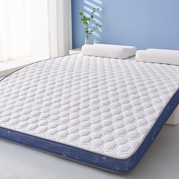 91家纺网 家纺一手货源 找家纺 合纵跨境工厂 2025新款17/25D记忆海绵床垫跨境外贸JIT一件代发TEMU亚马逊希音包过核价立体球形小猫 立体球形小猫-灰蓝边白 5cm