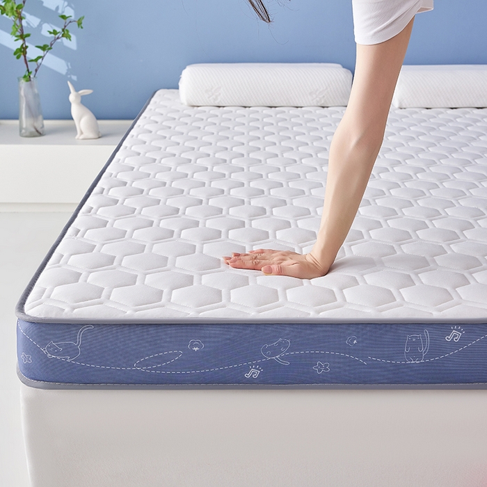 91家纺网 家纺一手货源 找家纺 合纵跨境工厂 2025新款17/25D记忆海绵床垫跨境外贸JIT一件代发TEMU亚马逊希音包过核价立体球形小猫 立体球形小猫-灰蓝边白 5cm