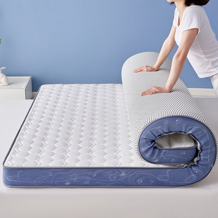 91家纺网 家纺一手货源 找家纺 合纵跨境工厂 2025新款17/25D记忆海绵床垫跨境外贸JIT一件代发TEMU亚马逊希音包过核价立体球形小猫 立体球形小猫-灰蓝边白 5cm