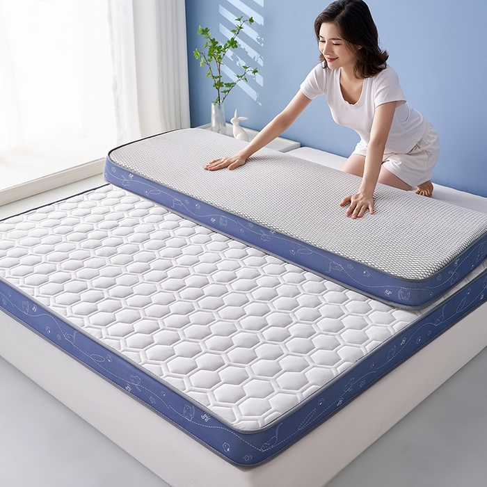 91家纺网 家纺一手货源 找家纺 合纵跨境工厂 2025新款17/25D记忆海绵床垫跨境外贸JIT一件代发TEMU亚马逊希音包过核价立体球形小猫 立体球形小猫-灰蓝边白 5cm