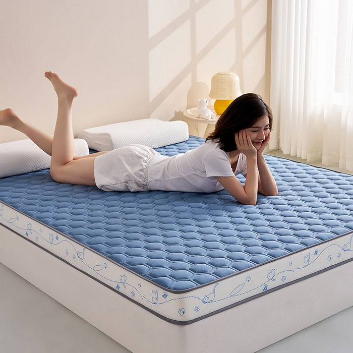 91家纺网 家纺一手货源 找家纺 合纵跨境工厂 2025新款17/25D记忆海绵床垫跨境外贸JIT一件代发TEMU亚马逊希音包过核价立体球形小猫 立体球形小猫-蓝 9cm