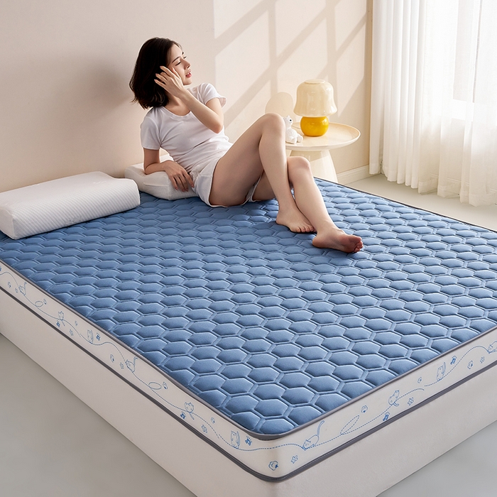 91家纺网 家纺一手货源 找家纺 合纵跨境工厂 2025新款17/25D记忆海绵床垫跨境外贸JIT一件代发TEMU亚马逊希音包过核价立体球形小猫 立体球形小猫-蓝 9cm