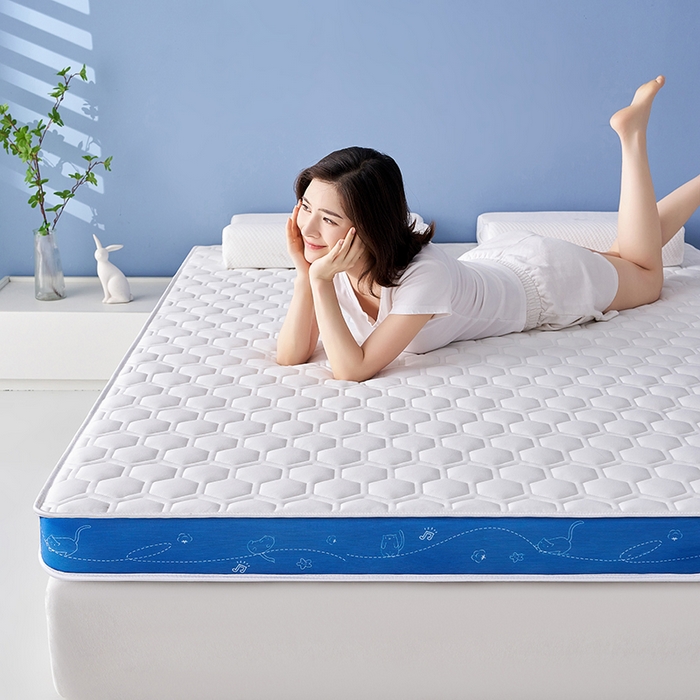 91家纺网 家纺一手货源 找家纺 合纵跨境工厂 2025新款17/25D记忆海绵床垫跨境外贸JIT一件代发TEMU亚马逊希音包过核价立体球形小猫 立体球形小猫-蓝边白 5cm