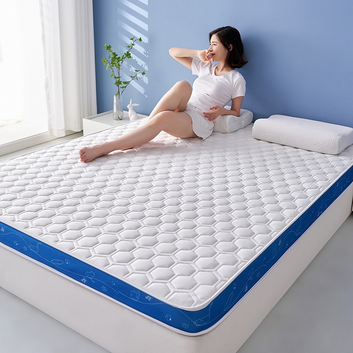 91家纺网 家纺一手货源 找家纺 合纵跨境工厂 2025新款17/25D记忆海绵床垫跨境外贸JIT一件代发TEMU亚马逊希音包过核价立体球形小猫 立体球形小猫-蓝边白 5cm