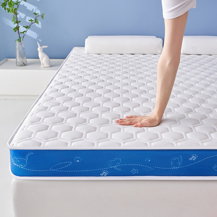 91家纺网 家纺一手货源 找家纺 合纵跨境工厂 2025新款17/25D记忆海绵床垫跨境外贸JIT一件代发TEMU亚马逊希音包过核价立体球形小猫 立体球形小猫-蓝边白 5cm