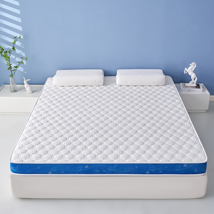 91家纺网 家纺一手货源 找家纺 合纵跨境工厂 2025新款17/25D记忆海绵床垫跨境外贸JIT一件代发TEMU亚马逊希音包过核价立体球形小猫 立体球形小猫-蓝边白 5cm