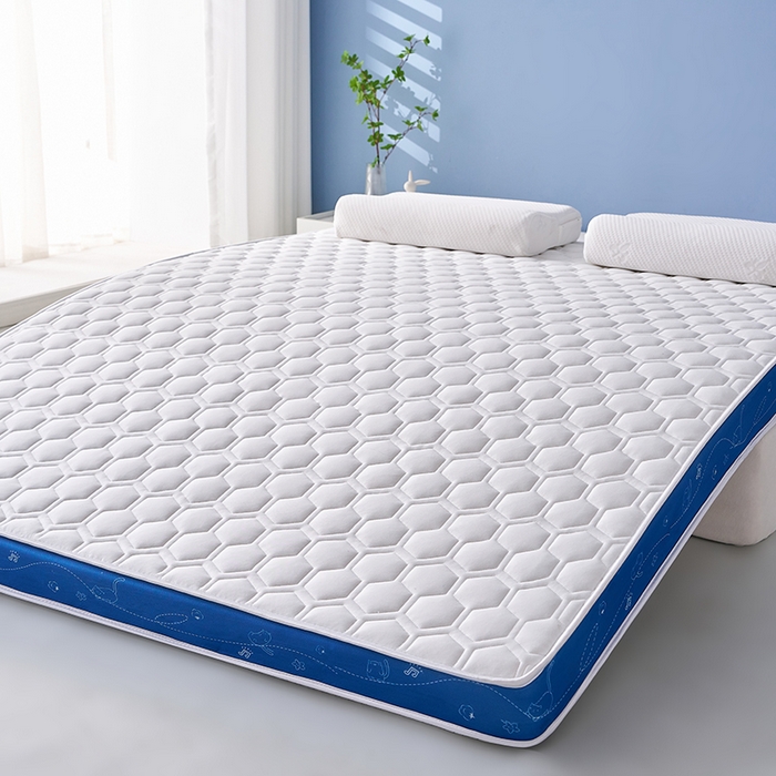 91家纺网 家纺一手货源 找家纺 合纵跨境工厂 2025新款17/25D记忆海绵床垫跨境外贸JIT一件代发TEMU亚马逊希音包过核价立体球形小猫 立体球形小猫-蓝边白 5cm