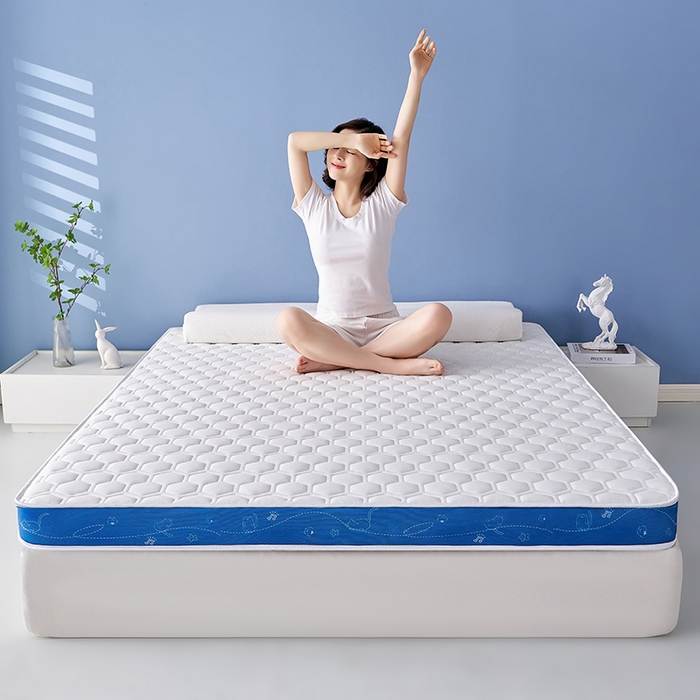 91家纺网 家纺一手货源 找家纺 合纵跨境工厂 2025新款17/25D记忆海绵床垫跨境外贸JIT一件代发TEMU亚马逊希音包过核价立体球形小猫 立体球形小猫-蓝边白 9cm