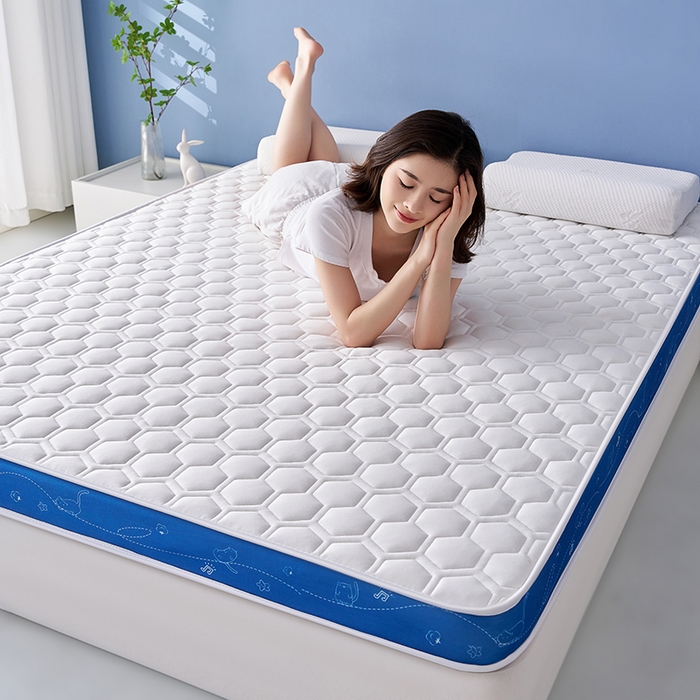 91家纺网 家纺一手货源 找家纺 合纵跨境工厂 2025新款17/25D记忆海绵床垫跨境外贸JIT一件代发TEMU亚马逊希音包过核价立体球形小猫 立体球形小猫-蓝边白 9cm