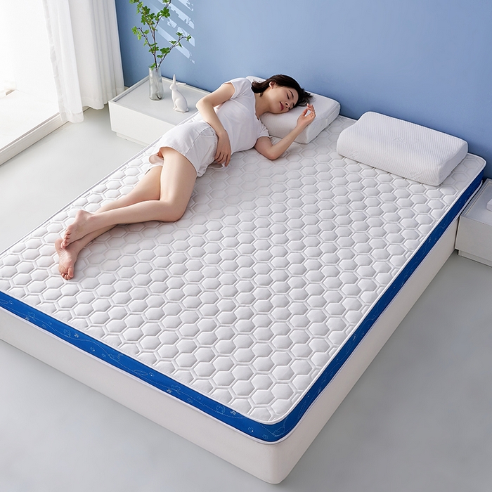 91家纺网 家纺一手货源 找家纺 合纵跨境工厂 2025新款17/25D记忆海绵床垫跨境外贸JIT一件代发TEMU亚马逊希音包过核价立体球形小猫 立体球形小猫-蓝边白 9cm