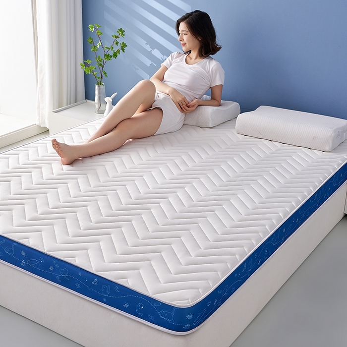 91家纺网 家纺一手货源 找家纺 合纵跨境工厂 2025新款17/25D记忆海绵床垫跨境外贸JIT一件代发TEMU亚马逊希音包过核价立体月亮款 立体月亮款-蓝边白 5cm