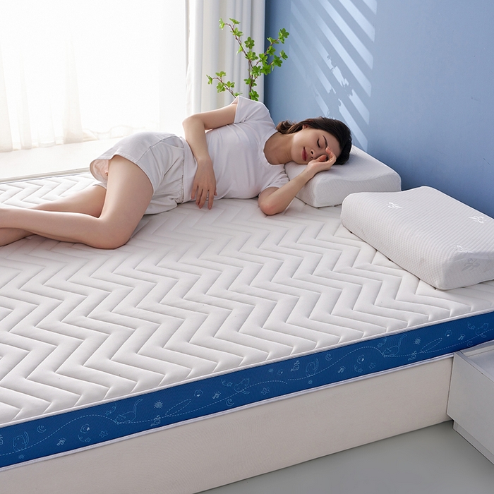 91家纺网 家纺一手货源 找家纺 合纵跨境工厂 2025新款17/25D记忆海绵床垫跨境外贸JIT一件代发TEMU亚马逊希音包过核价立体月亮款 立体月亮款-蓝边白 5cm