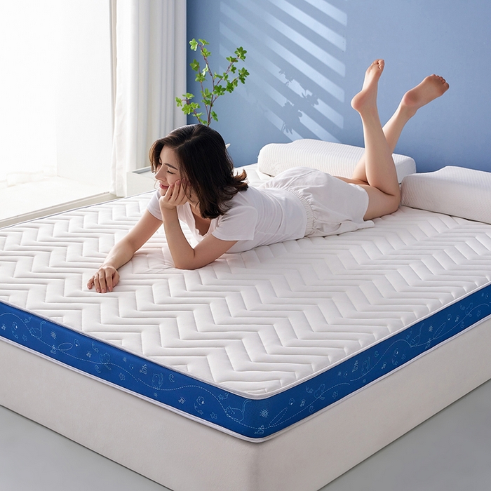 91家纺网 家纺一手货源 找家纺 合纵跨境工厂 2025新款17/25D记忆海绵床垫跨境外贸JIT一件代发TEMU亚马逊希音包过核价立体月亮款 立体月亮款-蓝边白 5cm
