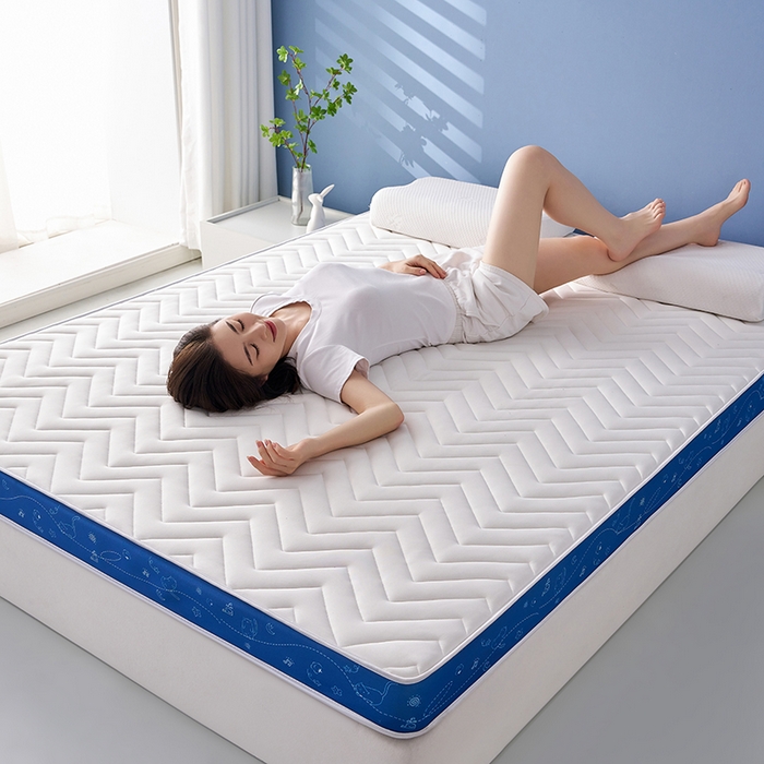 91家纺网 家纺一手货源 找家纺 合纵跨境工厂 2025新款17/25D记忆海绵床垫跨境外贸JIT一件代发TEMU亚马逊希音包过核价立体月亮款 立体月亮款-蓝边白 5cm