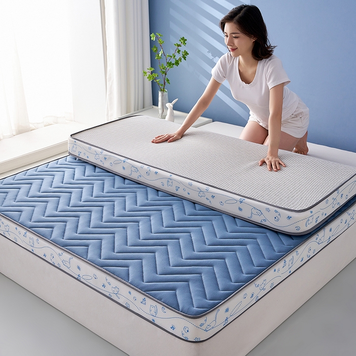 91家纺网 家纺一手货源 找家纺 合纵跨境工厂 2025新款17/25D记忆海绵床垫跨境外贸JIT一件代发TEMU亚马逊希音包过核价立体月亮款 立体月亮款-蓝 9cm