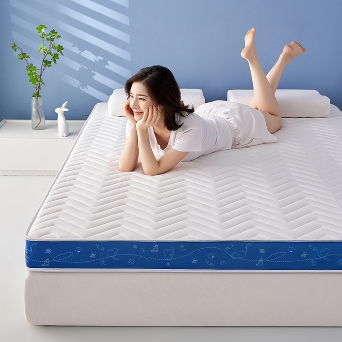 91家纺网 家纺一手货源 找家纺 合纵跨境工厂 2025新款17/25D记忆海绵床垫跨境外贸JIT一件代发TEMU亚马逊希音包过核价立体月亮款 立体月亮款-蓝边白 9cm