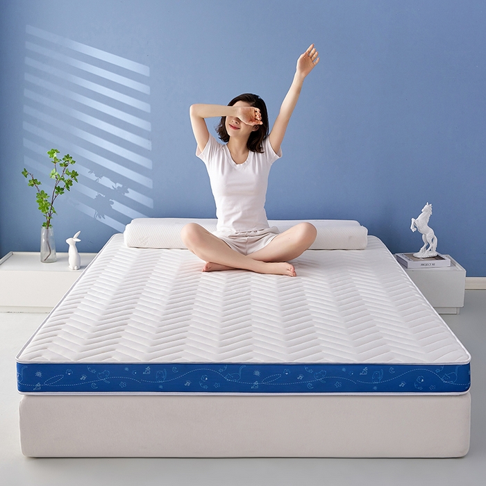 91家纺网 家纺一手货源 找家纺 合纵跨境工厂 2025新款17/25D记忆海绵床垫跨境外贸JIT一件代发TEMU亚马逊希音包过核价立体月亮款 立体月亮款-蓝边白 9cm