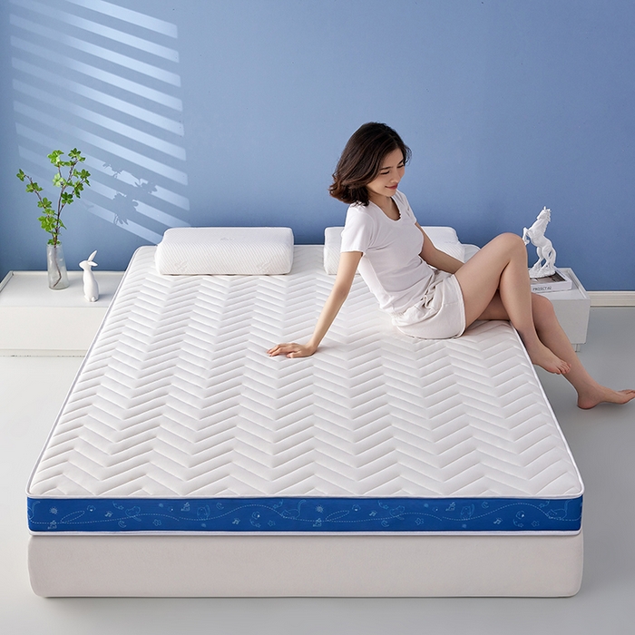 91家纺网 家纺一手货源 找家纺 合纵跨境工厂 2025新款17/25D记忆海绵床垫跨境外贸JIT一件代发TEMU亚马逊希音包过核价立体月亮款 立体月亮款-蓝边白 9cm