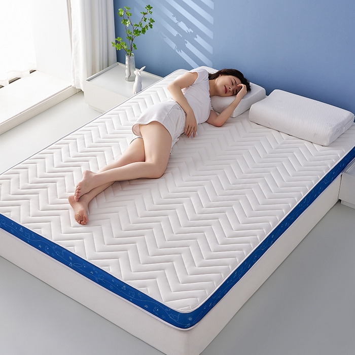 91家纺网 家纺一手货源 找家纺 合纵跨境工厂 2025新款17/25D记忆海绵床垫跨境外贸JIT一件代发TEMU亚马逊希音包过核价立体月亮款 立体月亮款-蓝边白 9cm