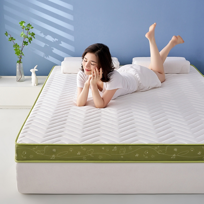 91家纺网 家纺一手货源 找家纺 合纵跨境工厂 2025新款17/25D记忆海绵床垫跨境外贸JIT一件代发TEMU亚马逊希音包过核价立体月亮款 立体月亮款-绿边白 9cm