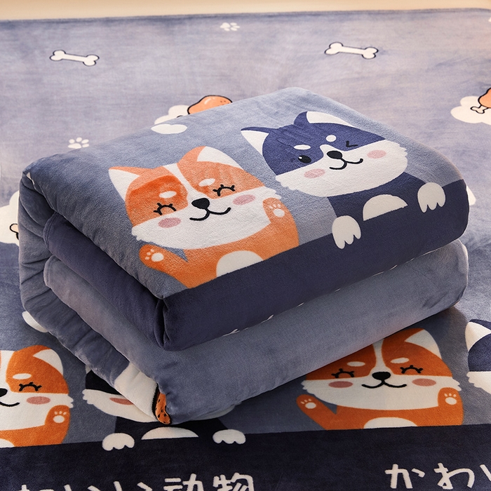 91家纺网 家纺一手货源 找家纺 合纵跨境工厂 2025新款印花牛奶绒毛毯法莱绒雪花绒贝贝绒双面绒毛毯跨境外贸JIT一件代发TEMU亚马逊希音包过核价印花毛毯 汪汪队