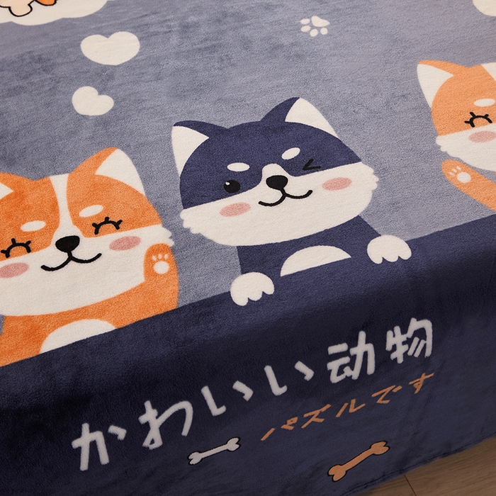 91家纺网 家纺一手货源 找家纺 合纵跨境工厂 2025新款印花牛奶绒毛毯法莱绒雪花绒贝贝绒双面绒毛毯跨境外贸JIT一件代发TEMU亚马逊希音包过核价印花毛毯 汪汪队