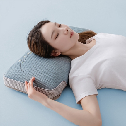 91家纺网 家纺一手货源 找家纺 （总）麦肯锡 2025新款冰豆豆纯荞麦枕35*55cm-模特图