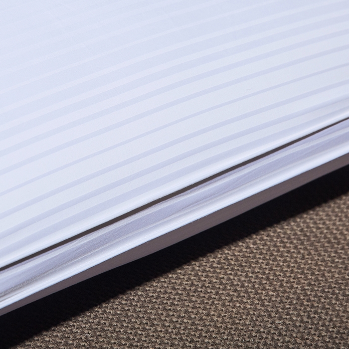 91家纺网 家纺一手货源 找家纺 静若居羽绒被壳 2023新款 全棉缎条羽绒枕缎纹羽绒枕立体羽绒枕 缎条白色低枕