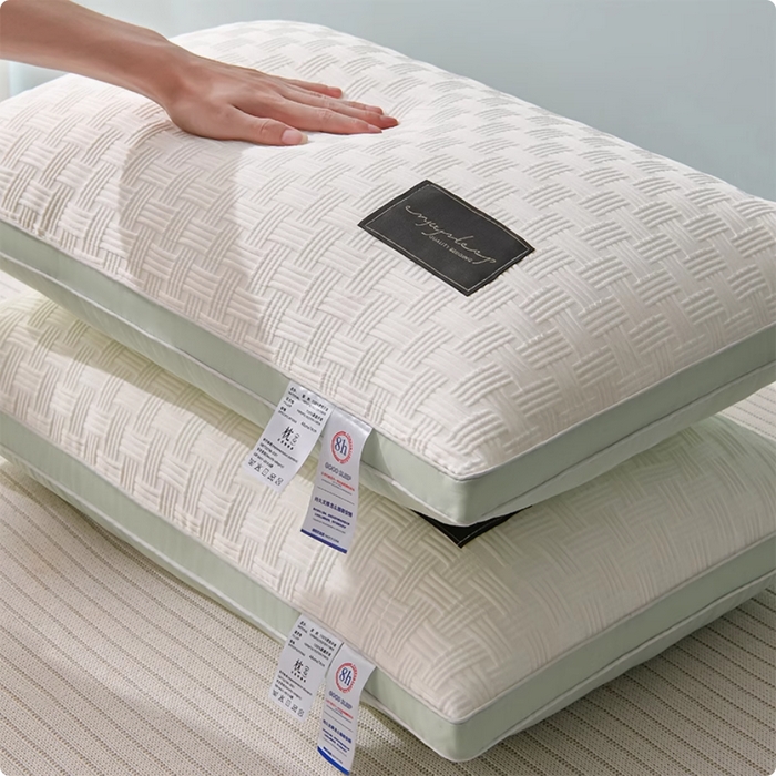 （总）大熊枕芯 2025新款云柔针织立体枕芯