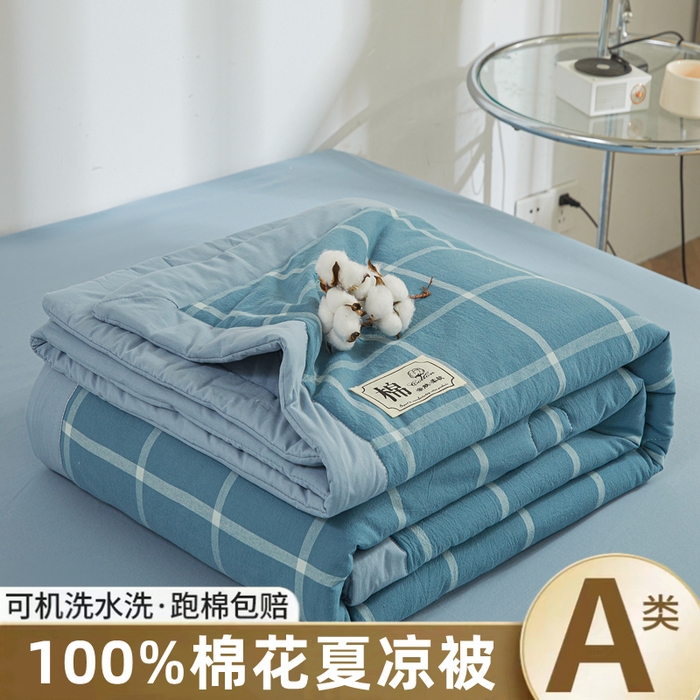 晓时候 2025春夏新款水洗棉夏被新疆棉花被填充100%纯棉全棉夏凉被空调被单夏被 马卡龙