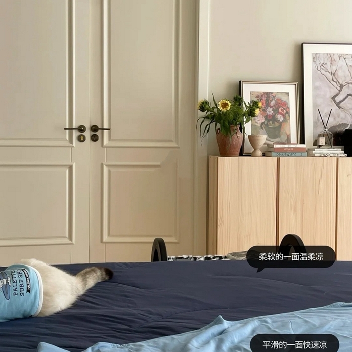 91家纺网 家纺一手货源 找家纺 （总）佰织鑫家居 2025新款顶配版亚朵同款深睡被夏季pro2.0 双面双感 凉感夏被A类可机洗水洗