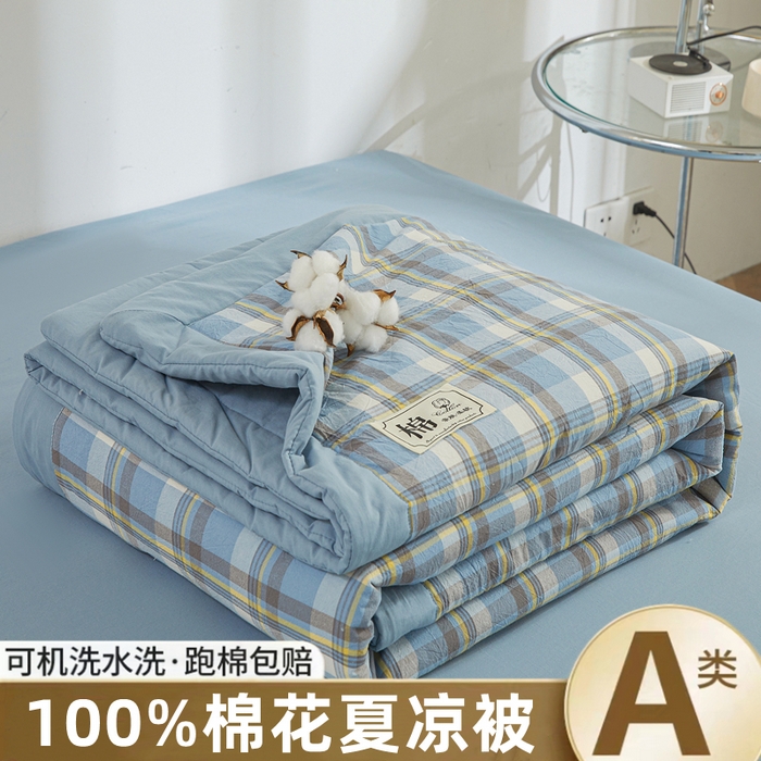 晓时候 2025春夏新款水洗棉夏被新疆棉花被填充100%纯棉全棉夏凉被空调被单夏被 莫妮蓝