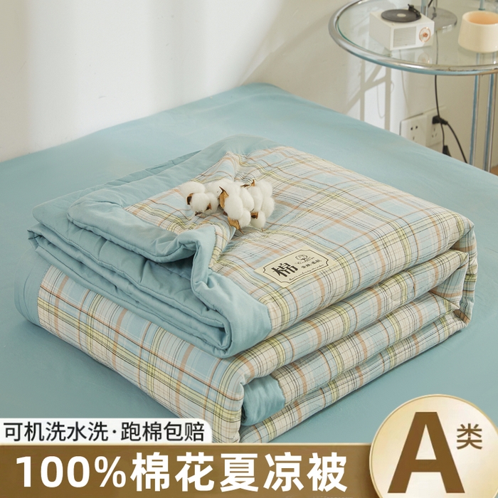 （總）曉時候 2025春夏新款水洗棉夏被新疆棉花被填充100%純棉全棉夏涼被空調被單夏被