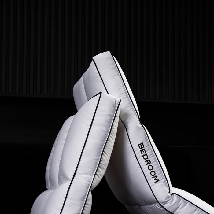 91家纺网 家纺一手货源 找家纺 境月枕芯坊 2025新款黑标羽绒枕分区枕枕头枕芯 黑标羽绒枕分区款 48x74cm/只六区舒享款