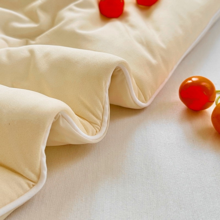 91家纺网 家纺一手货源 找家纺 （总）蘭菲家纺 2025新款凉感丝卡皮巴拉夏被