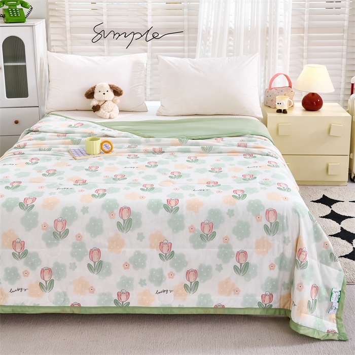 91家纺网 家纺一手货源 找家纺 （总）织布人 2025新款夏被A类凉感丝印花夏凉被空调被双面凉感单夏被子被芯