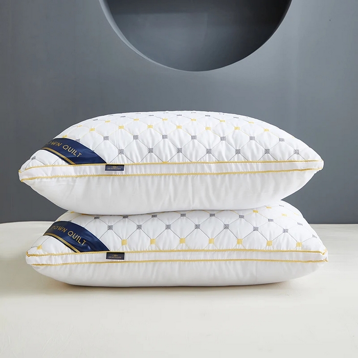 （总）雅晨枕芯 2025新款满天星双边立体枕头枕芯