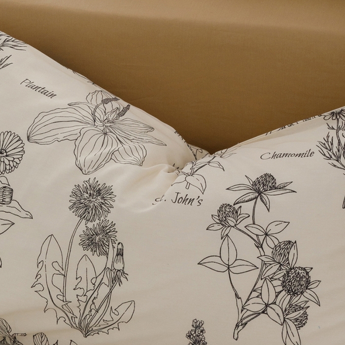 91家纺网 家纺一手货源 找家纺 柚可家居 2024新款数码定版全棉单枕套系列-花卉 暮秋