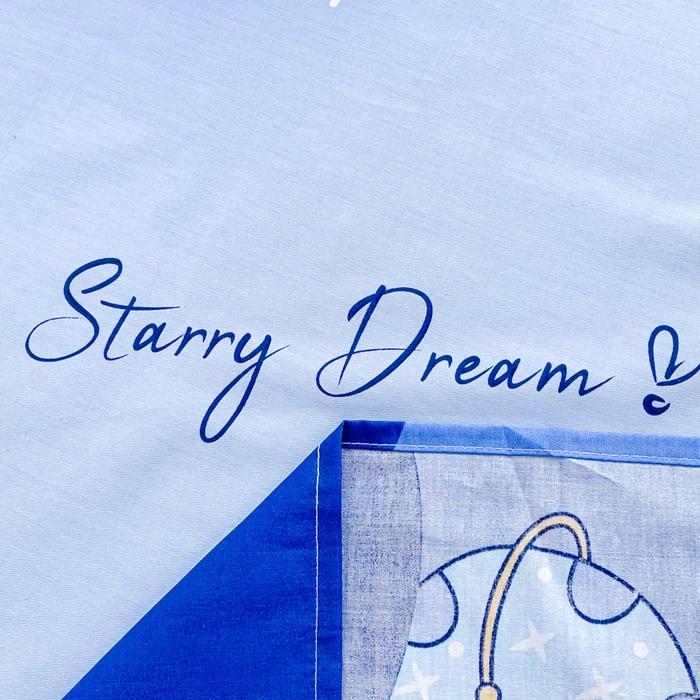 91家纺网 家纺一手货源 找家纺 金鑫汇家纺 2025新款13070全棉好卖花型套件系列-单床单（花型更好卖，面料更厚实，退货率低） 翱翔太空