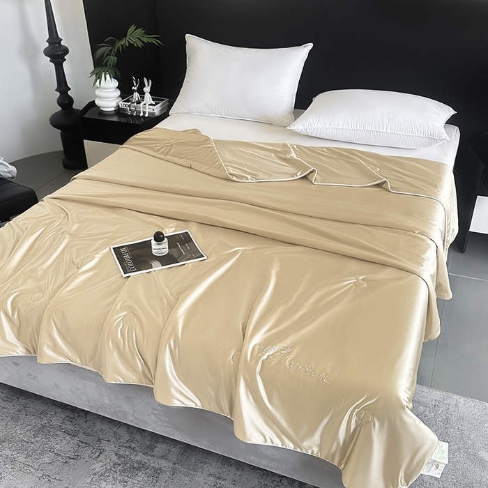 91家纺网 家纺一手货源 找家纺 织布人 2025新款夏被凉感丝大豆被夏凉被单人被轻奢学生宿舍空调被子被芯 凉感丝大豆夏被-奶油色