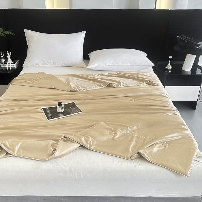 91家纺网 家纺一手货源 找家纺 织布人 2025新款夏被凉感丝大豆被夏凉被单人被轻奢学生宿舍空调被子被芯 凉感丝大豆夏被-奶油色